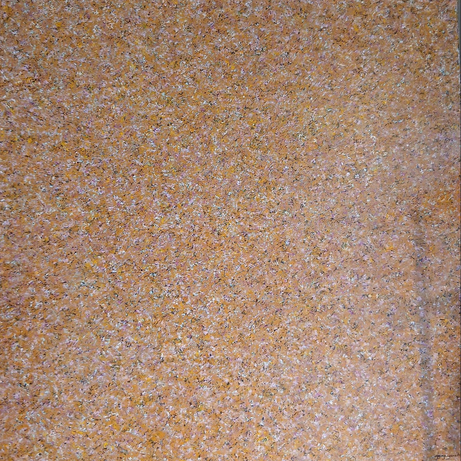 Véronique Brzezinski - Œuvre Originale - Toile Acrylique - 100 x 100