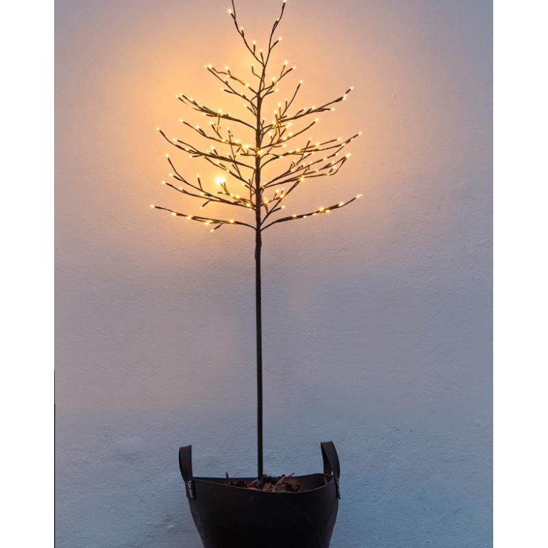 Sirius - Sapin Lumineux Noah - A planter - 1,8 mètres