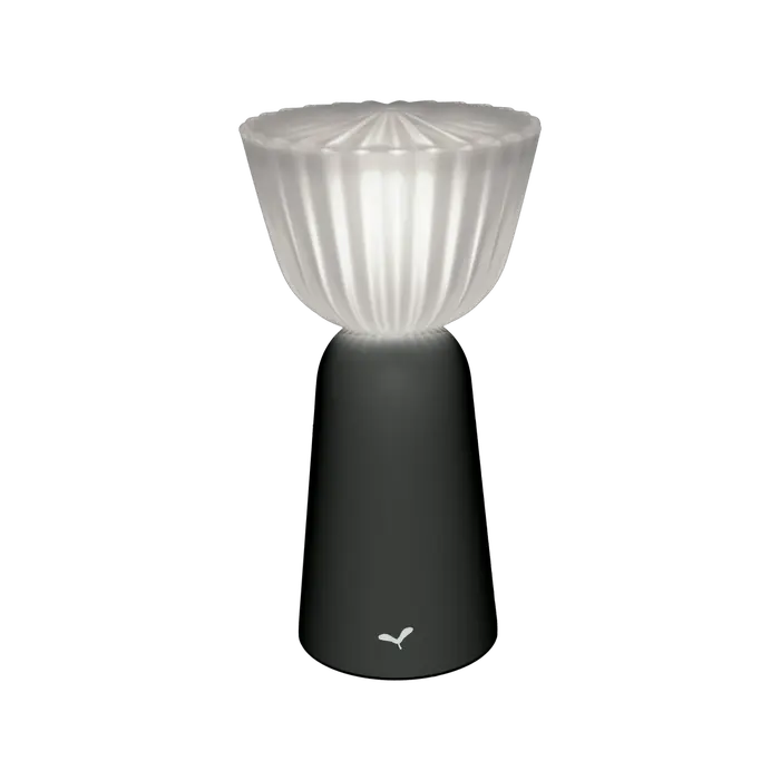 Fermob - Lampe Swiing - Usage Extérieur/Intérieur - Carbone