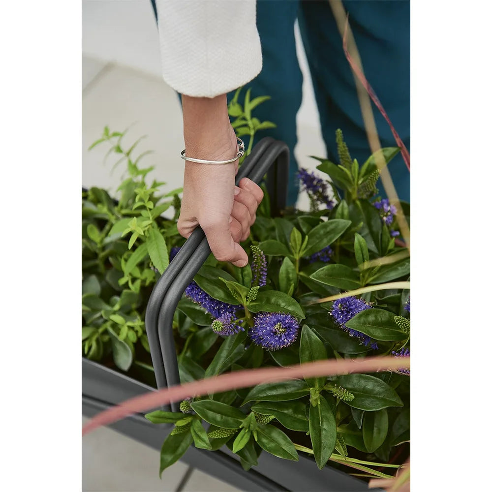 Fermob – Basket – Jardinière longue en situation